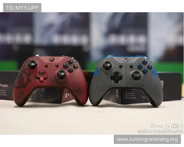 尊龙时凯官网入口：官方入口访问速度优化措施，提升玩家游戏体验的流畅度