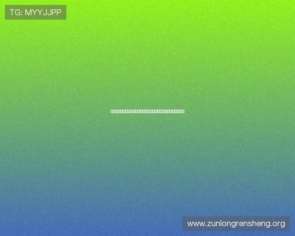 在世界杯中新西兰与埃及比赛传球成功率表现及战术调整的深度解析